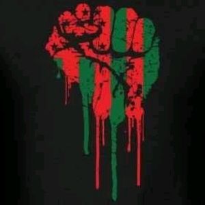 Meet your Posher, Ronald